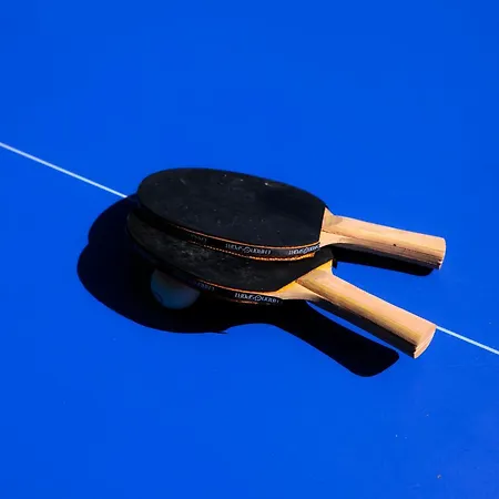 Villa Les Peupliers Avec Piscine Privee Et Sauna