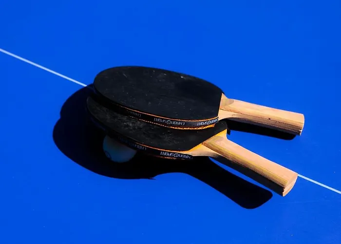 Villa Les Peupliers Avec Piscine Privee Et Sauna